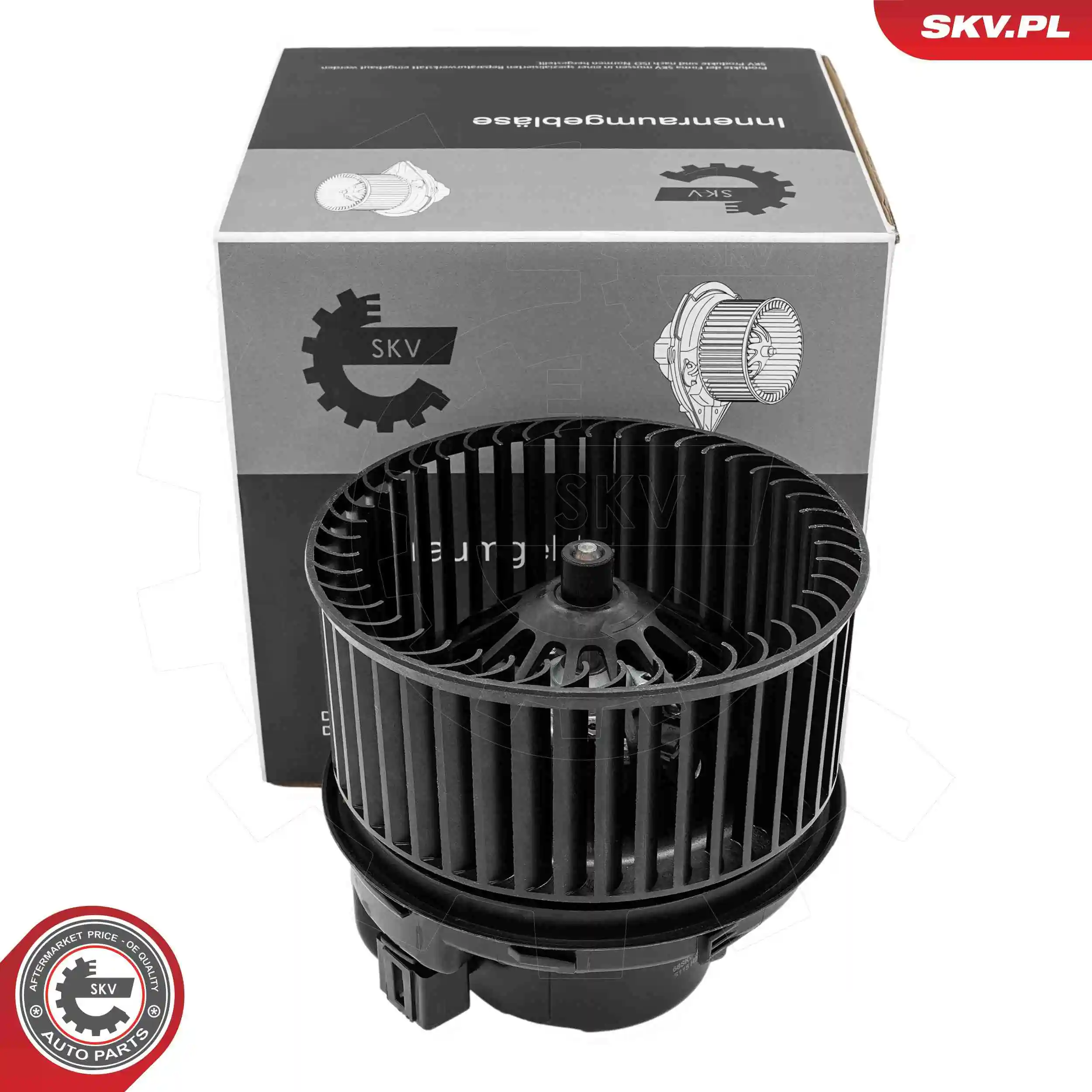 Interior Blower